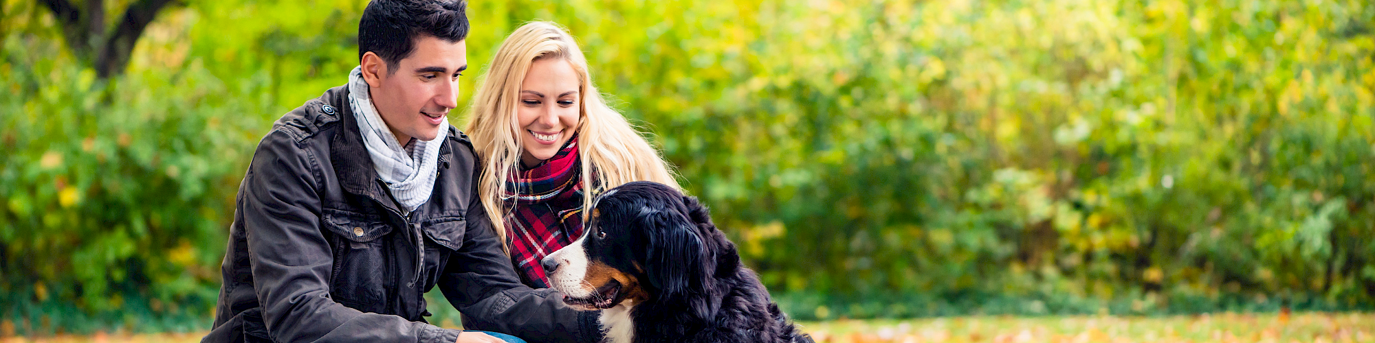 A couple kneels on a leaf-covered path with a large black and white dog, enjoying autumn outdoors together.