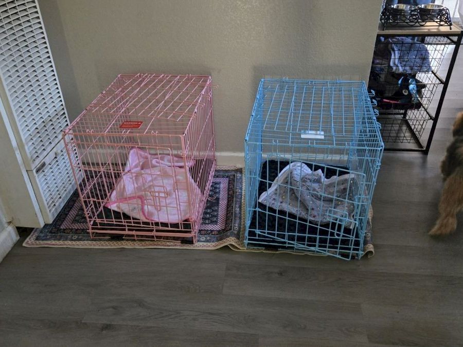 Animal Assistance League of Orange County