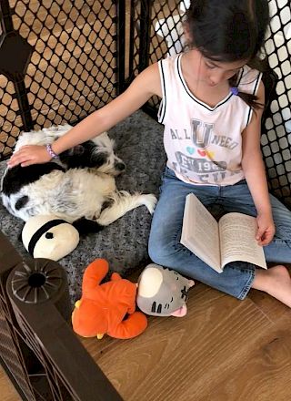 The image shows two babies or young children sitting on a surface, with shoes/boots nearby.