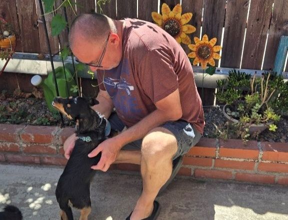 Animal Assistance League of Orange County