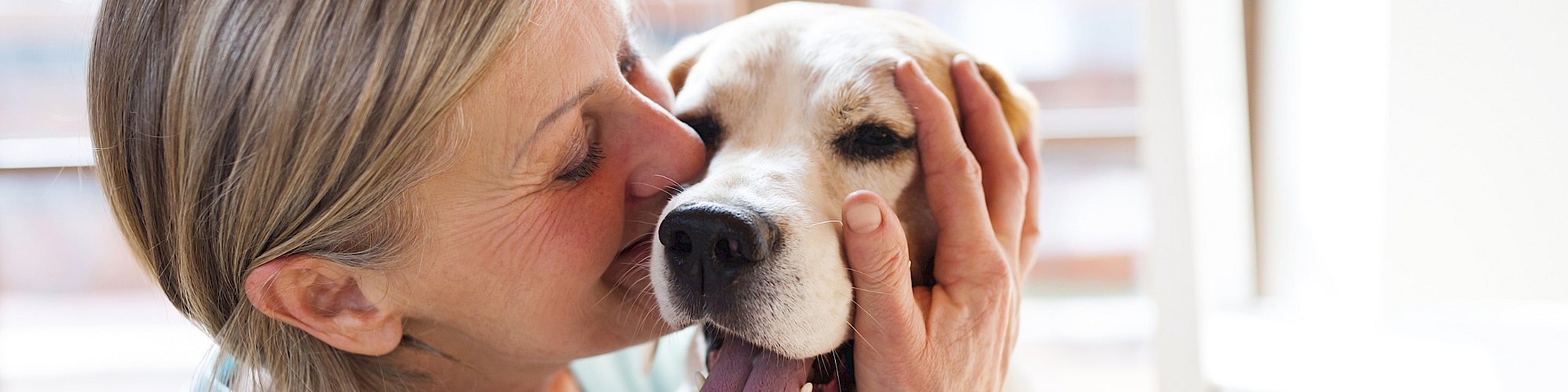 Animal Assistance League of Orange County