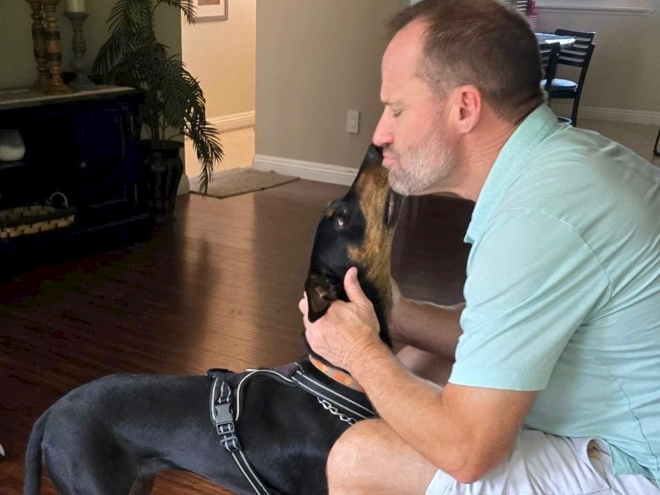 A man with a light blue polo hugs a black dog wearing a harness, inside a cozy home with hardwood floors and plants nearby, tender moment.