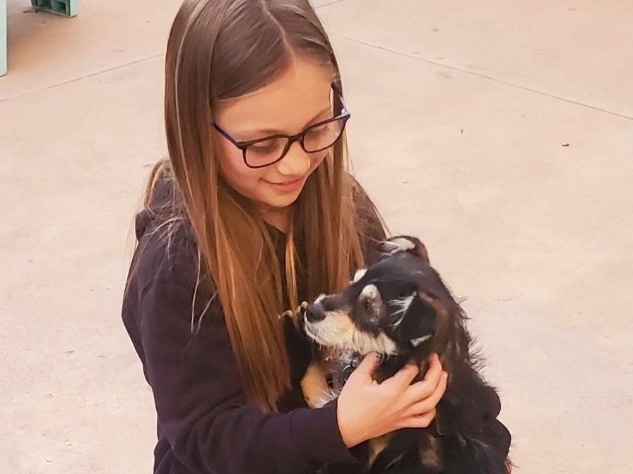 A girl with glasses holding a small black-and-white dog; they share a gentle moment outdoors.