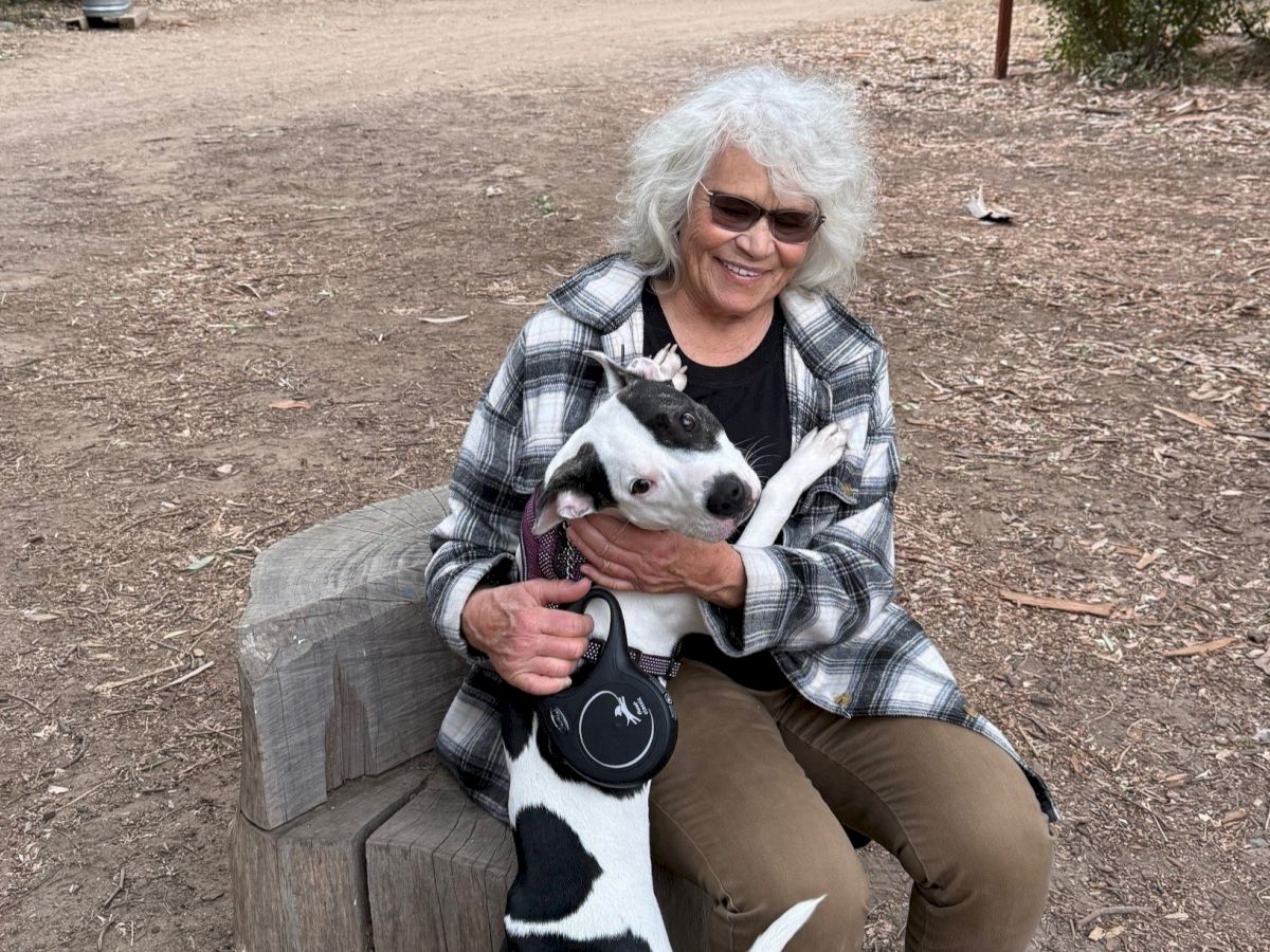 An elderly woman with white hair and sunglasses sits on a bench outdoors, wearing a plaid shirt, holding a black-and-white dog. ending the sentence.