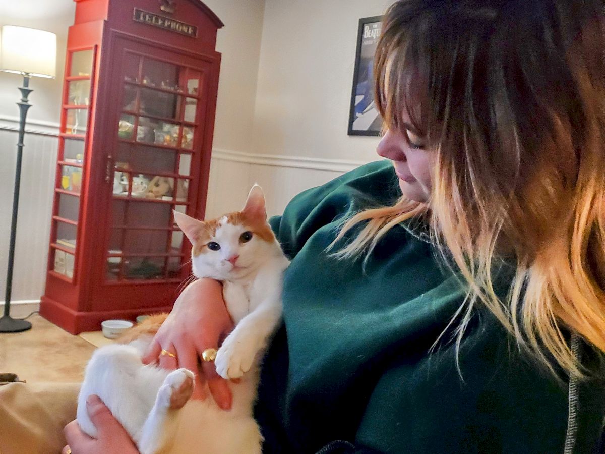 A person holding a white-and-orange cat on their lap in a living room with a red cabinet and a lamp in the background, smiling at the cat.