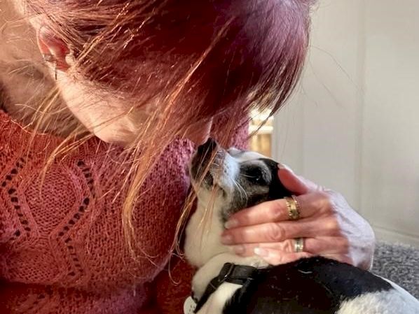 A person with red hair gently pets a black-and-white cat, both sharing a close, tender moment.