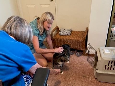 Two women in a living room gently pet a small dog near a pet crate; one sits on the floor, and a blue-shirted person sits nearby.