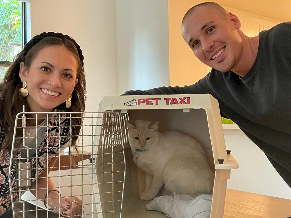 Animal Assistance League of Orange County