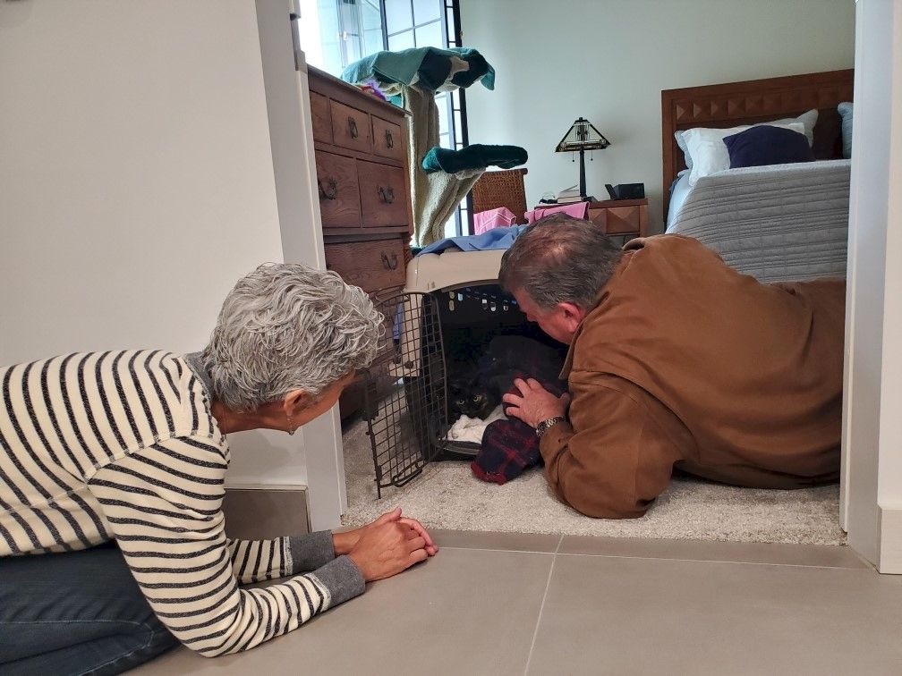 Two people crouch near a stray small pet or object on a carpeted doorway, peeking and smiling in a cozy bedroom hallway.