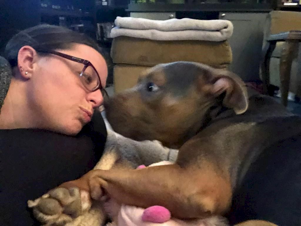 A person and a dog are nose-to-nose, appearing to share a gentle, affectionate moment with paws and a pink toy nearby.