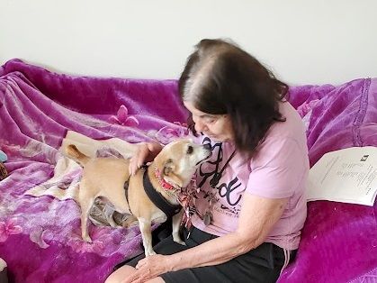 A woman sits on a purple couch, smiling at a small dog wearing a harness, as they share a warm, close moment.
