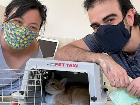 Two people wearing masks pose with a cat in a pet taxi crate, showing a hopeful moment of care.