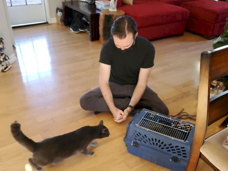 A man sits on the floor with a cat approaching his hands near a blue pet carrier in a cozy living room.