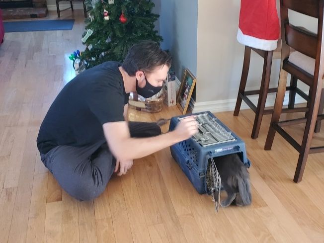 A man kneels on a wooden floor, wearing a mask, playing with a cat peeking from a small crate or container.