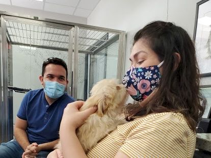 Two people in a clinic with a small dog; a man in a blue shirt and mask sits nearby while a woman holds a fluffy dachshund-like dog, wearing floral mask.