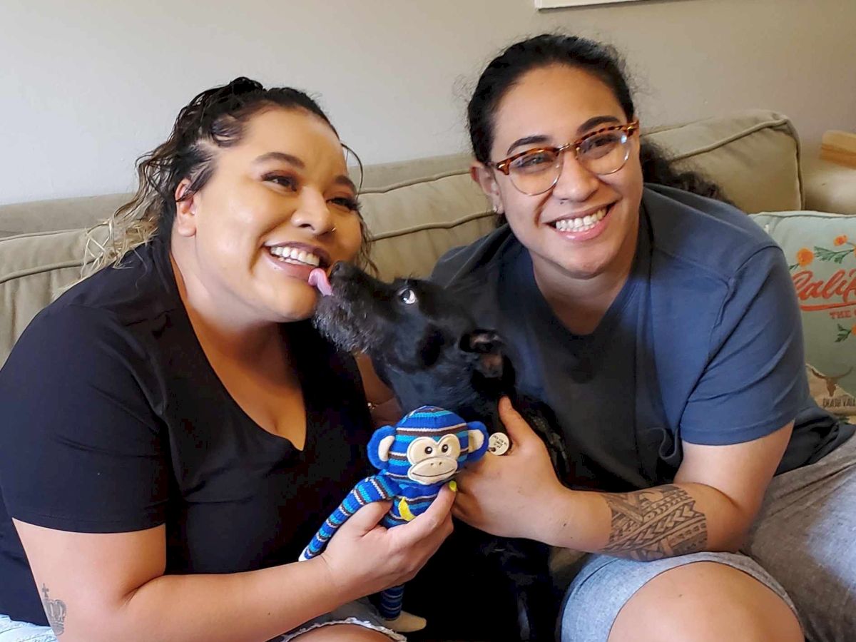 Two people sit on a couch smiling, holding a small dog with a blue toy, in a cozy living room.
