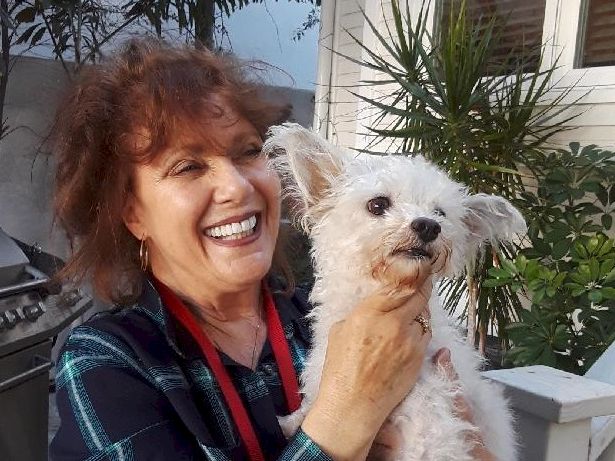 Animal Assistance League of Orange County