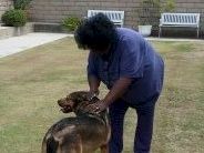 A person in blue scrubs pets a dog on a grassy lawn with benches in the background. Top it at 140 characters, always ending the sentence.