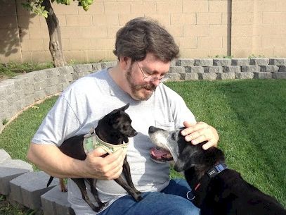 A man holding a small black puppy while another larger black dog sits close, in a tidy yard with green grass and a brick wall.