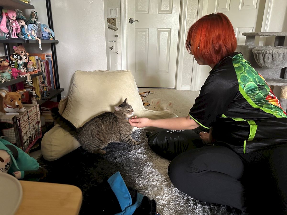 Person with red hair kneels to pet a gray tabby on a fluffy rug, in a cozy room with shelves of toys and a white door in the background.