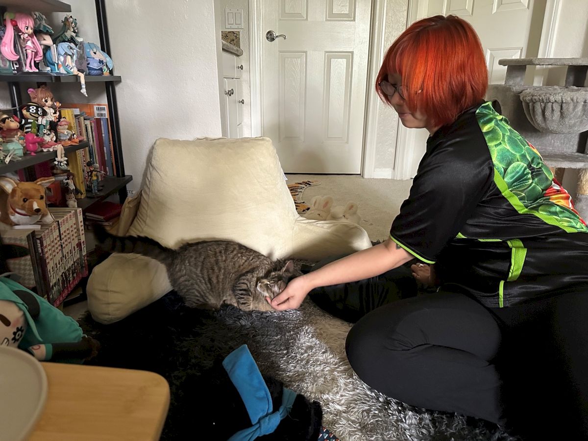 A person with red hair pets a gray cat lounging on a fluffy floor pillow in a cozy, toy-filled room.