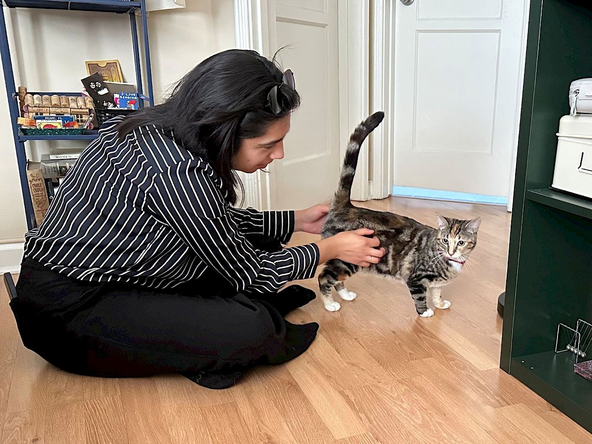 A woman in a striped shirt kneels on a wooden floor, gently guiding a gray tabby cat toward a green cabinet.